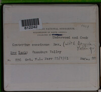 Image Associated With the Occurence